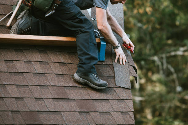 Best Roof Maintenance Services  in Argentine, MI