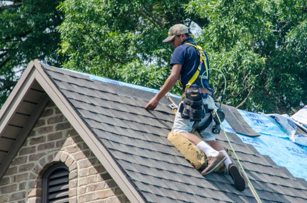 Best Roof Leak Repair  in Argentine, MI
